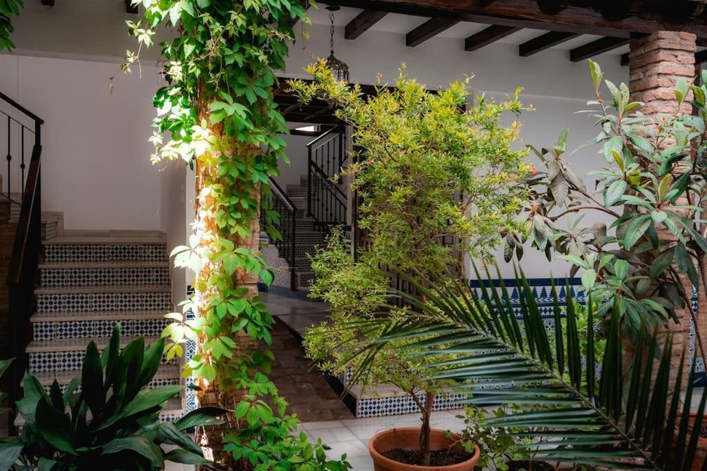 Apartamento Qh Caldeleria Vieja Granada Exterior foto